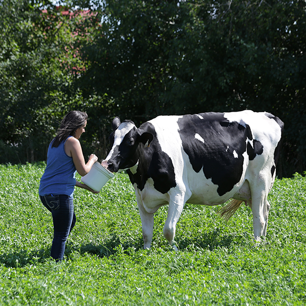 Animal Welfare Care