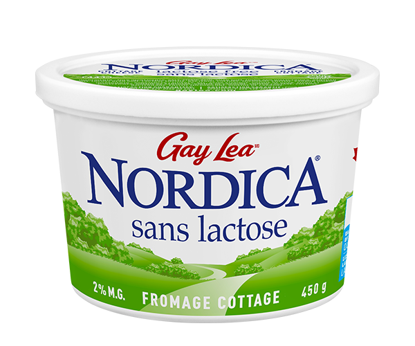 Photo of - Fromage cottage – sans lactose